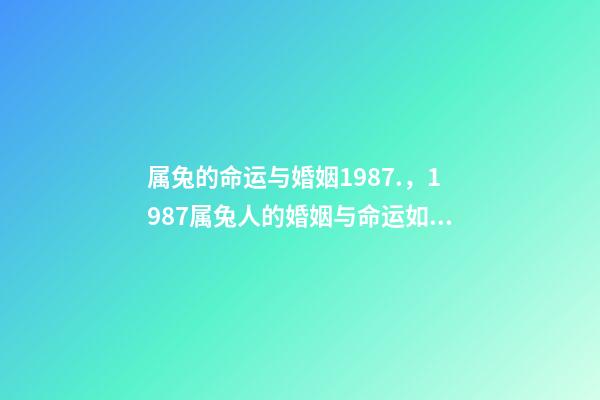 属兔的命运与婚姻1987.，1987属兔人的婚姻与命运如何 87年属兔35岁2022婚姻-第1张-观点-玄机派